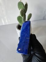 Free Form A+++ Lapis Lazuli , Lapis, Polished Tumble, manifestation, willpower, Confidence, Self Expression, Crystal Gifts, amplification