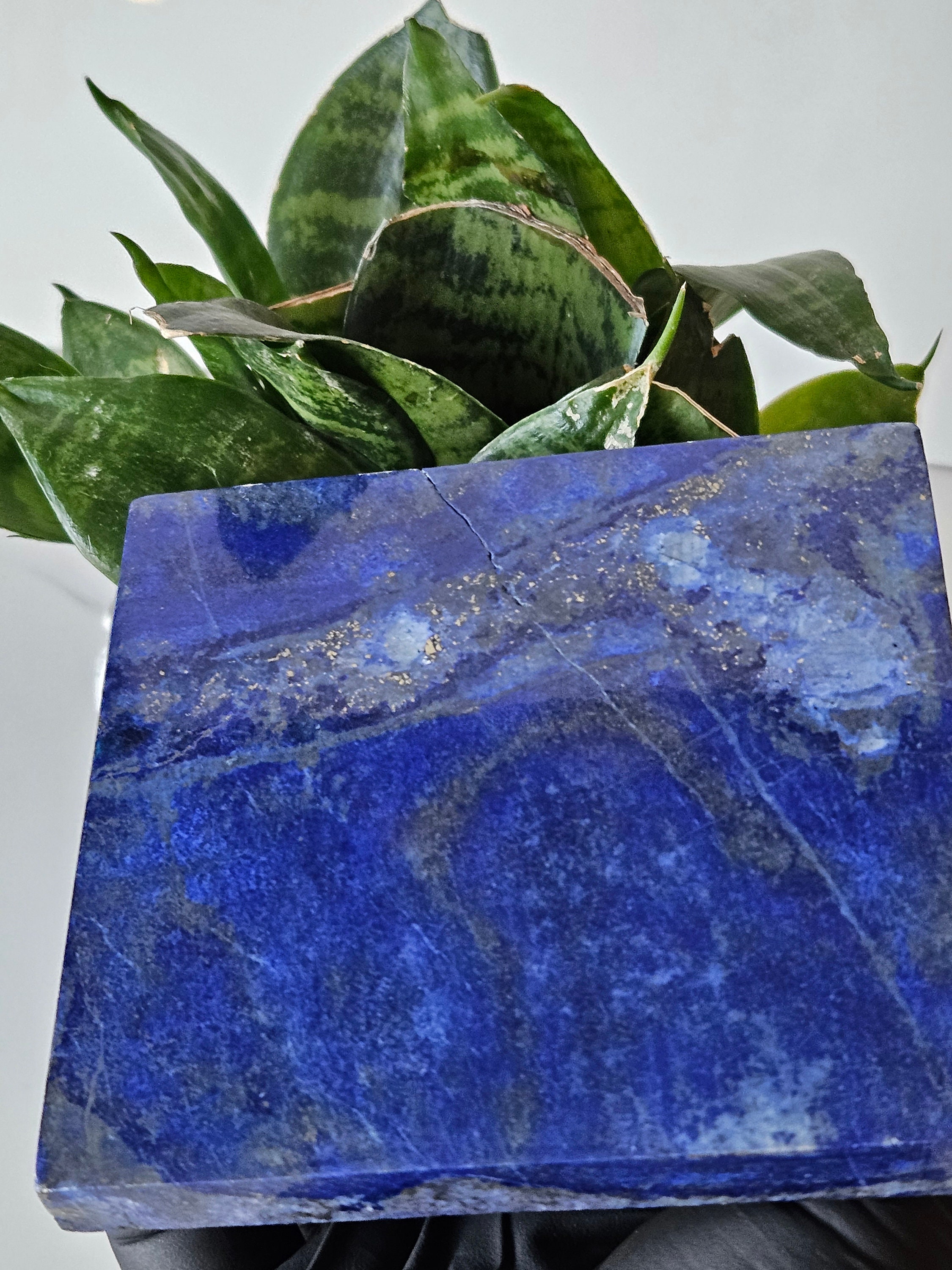 10x10 Lapis Lazuli Stone Tile | crystal heal, willpower, Succulent, Polished, Healing Crystal, crystal gift, lapis lazuli jewelry, Nurturing